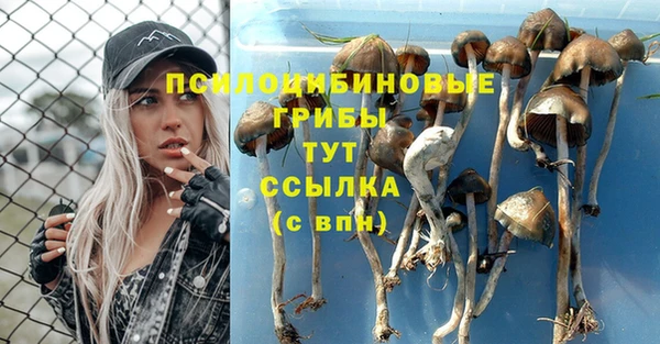 кокаин премиум Гусь-Хрустальный