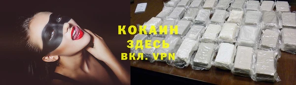 спайс Гусев