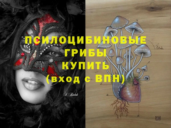 спайс Гусев