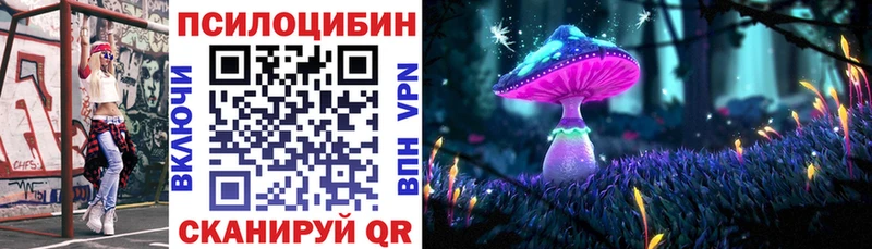 купить наркотики цена  Гай  Галлюциногенные грибы MAGIC MUSHROOMS 