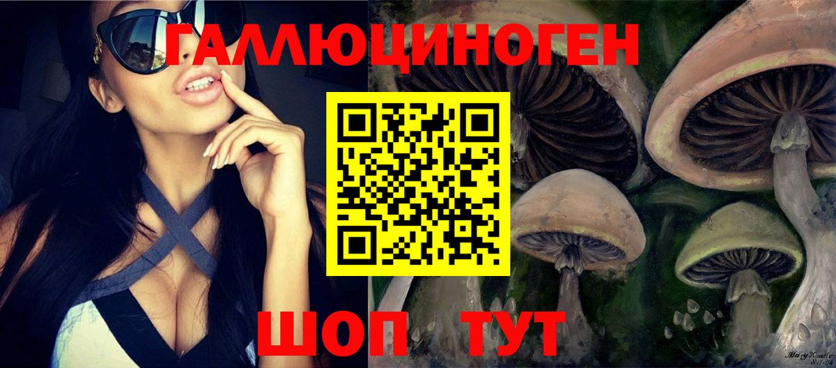 Гай  Псилоцибиновые грибы Cubensis  Псилоцибиновые грибы Psilocybe  Вход с VPN 