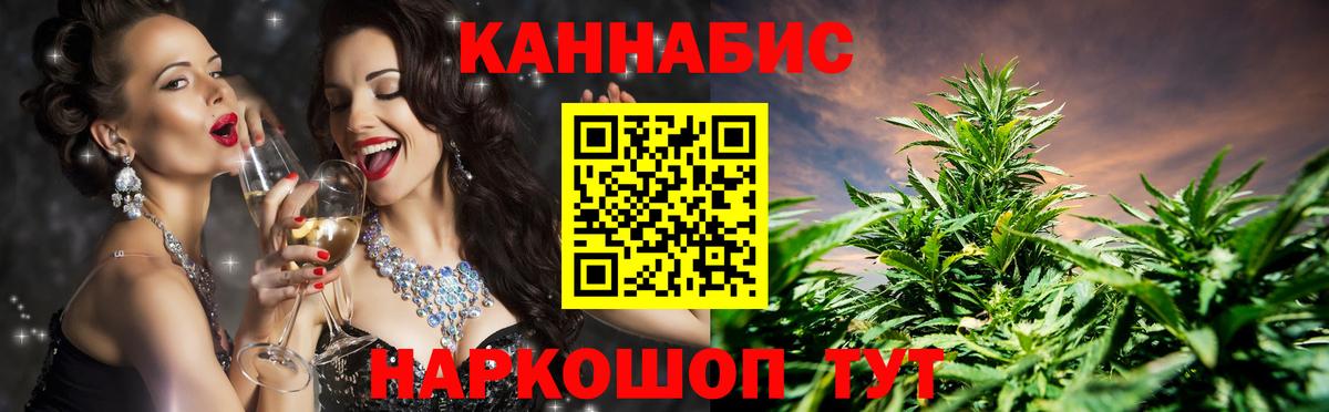 Канабис гибрид Гай